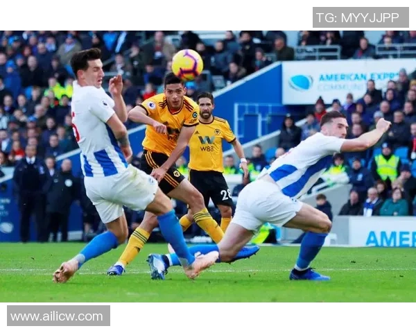 卡迪夫与狼队精彩对决全场回顾精彩瞬间不容错过